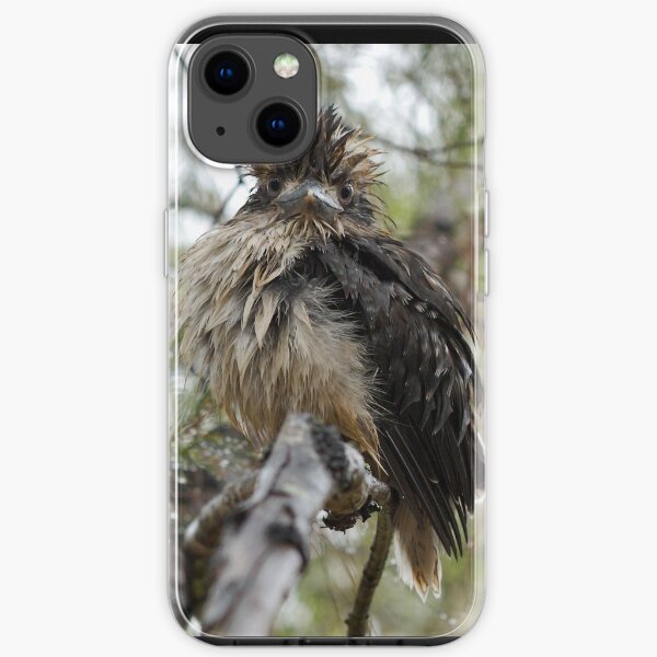Wet Kookaburra iPhone Soft Case