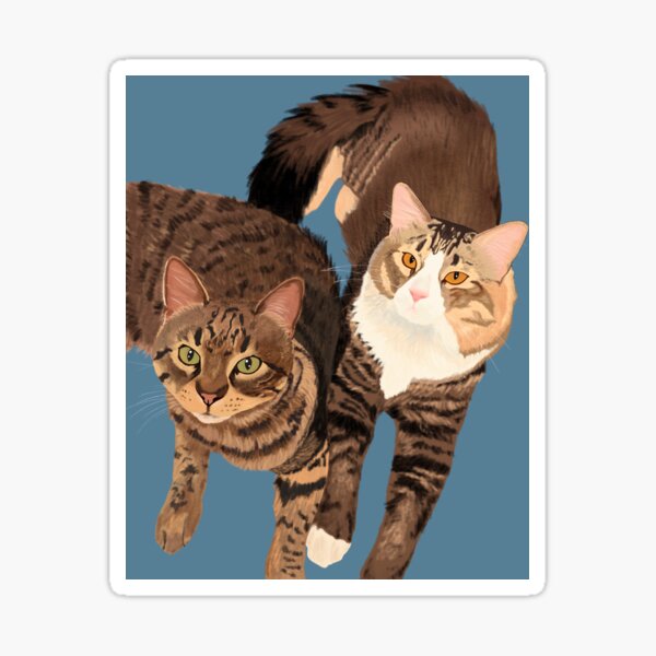 Cute Cats Sticker