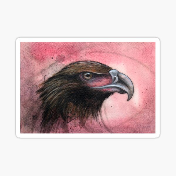 Item preview, Wedge Tailed Eagle Study  designed and sold by A Curious Bestiary.