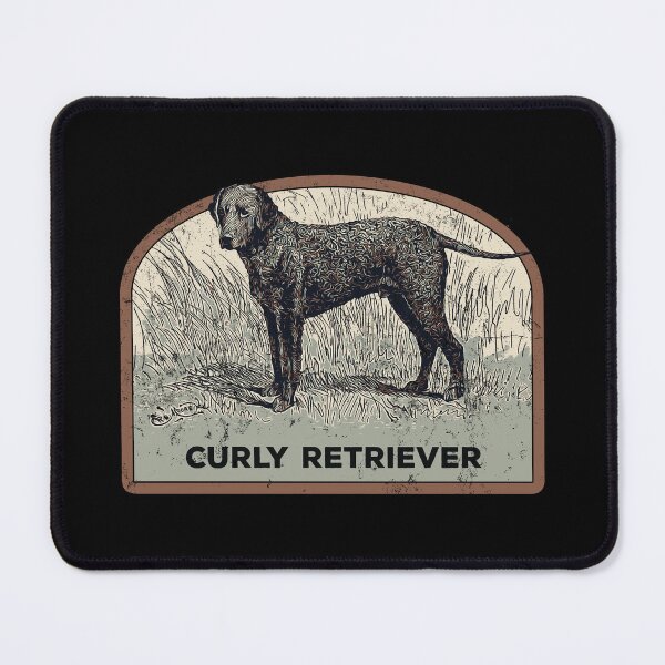 Item preview, Dog Curly Retriever illustration designed and sold by Lemomo-zoo.
