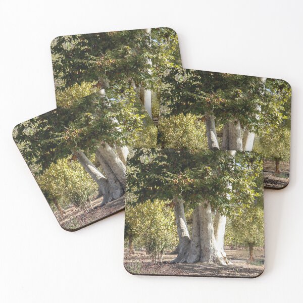 Item preview, Nature's Art in the Park designed and sold by heatherfriedman.