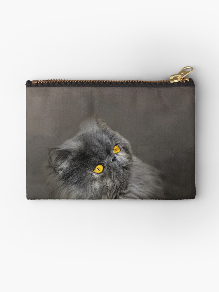 Smokey grey persian cat cheap