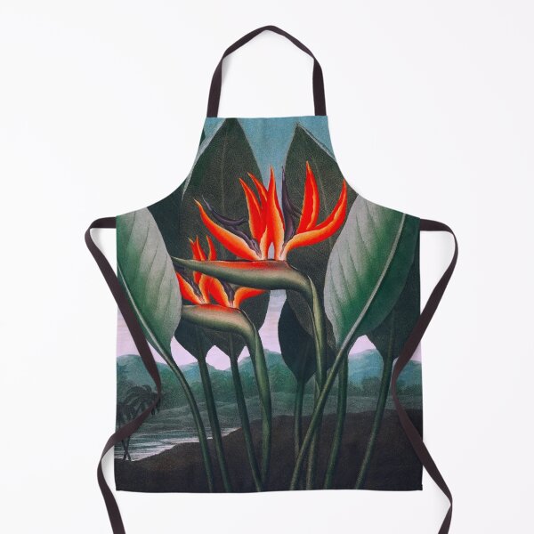 Item preview, The Queen–Plant from by Robert John Thornton designed and sold by jadeandjester.