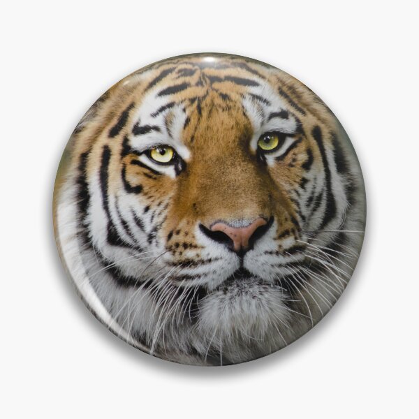 Item preview, Siberian Tiger Portrait designed and sold by Elisabeth Lucas.