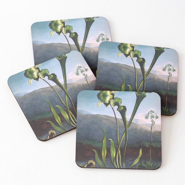 Item preview, American Bog Plant designed and sold by jadeandjester.