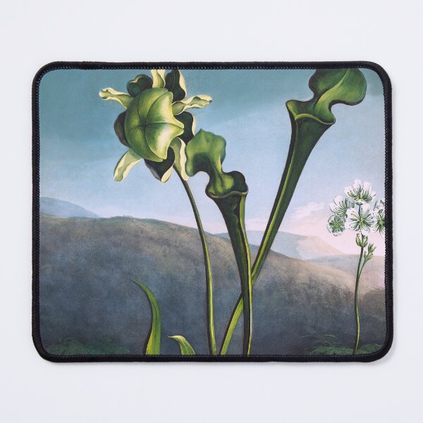 Item preview, American Bog Plant designed and sold by jadeandjester.