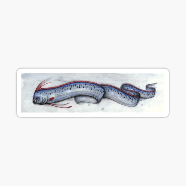 Item preview, Oarfish designed and sold by A Curious Bestiary.