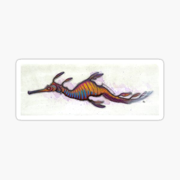 Item preview, Weedy Seadragon Study designed and sold by A Curious Bestiary.