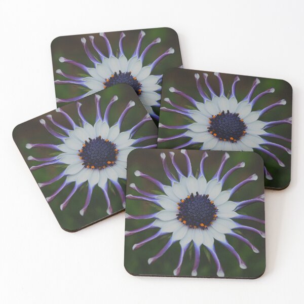 Item preview, Osteospermum Whirligig designed and sold by andrachne.