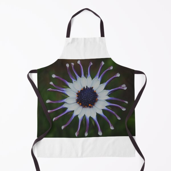 Item preview, Osteospermum Whirligig designed and sold by andrachne.