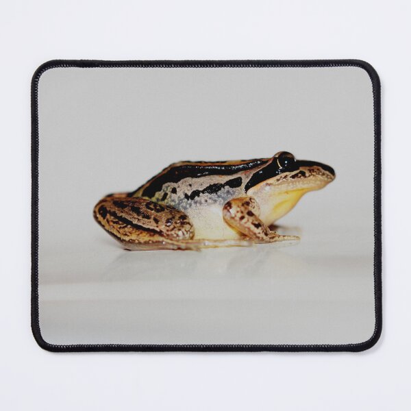 Item preview, Litoria nasuta designed and sold by andrachne.