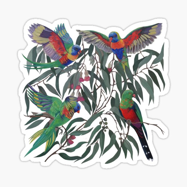 Birds from Paradise. Rosellas Sticker