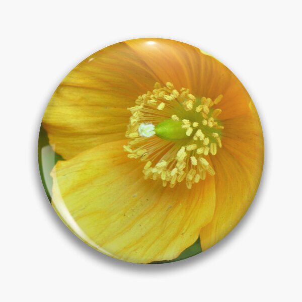 Artikelvorschau, Mohn entworfen und verkauft von KathleenDawson.