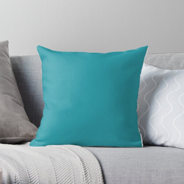 Teal / Light Sea Green Solid Color Throw Pillow