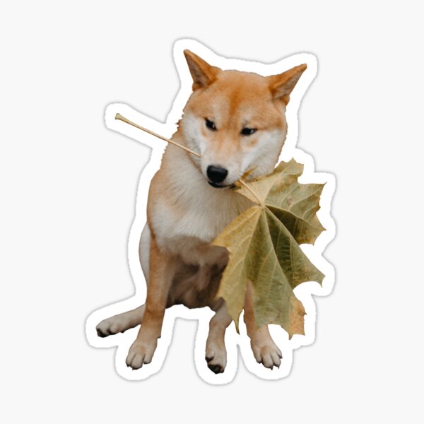 Dog protecting a leaf Sticker