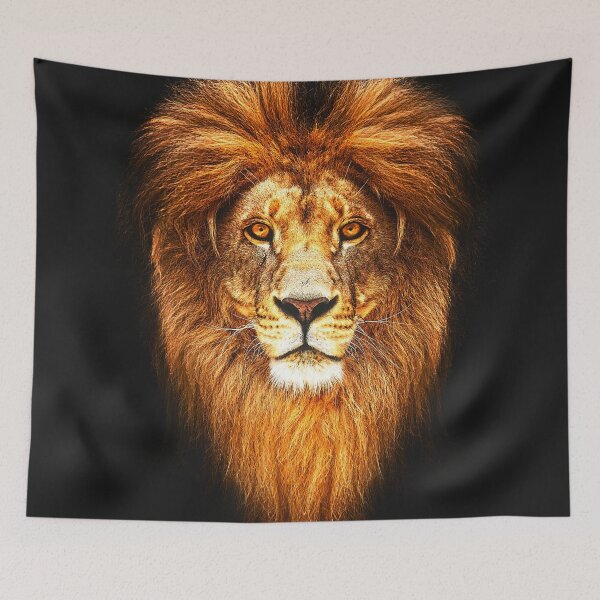 Item preview, Portrait of a Beautiful lion, lion in dark designed and sold by Shifa19.