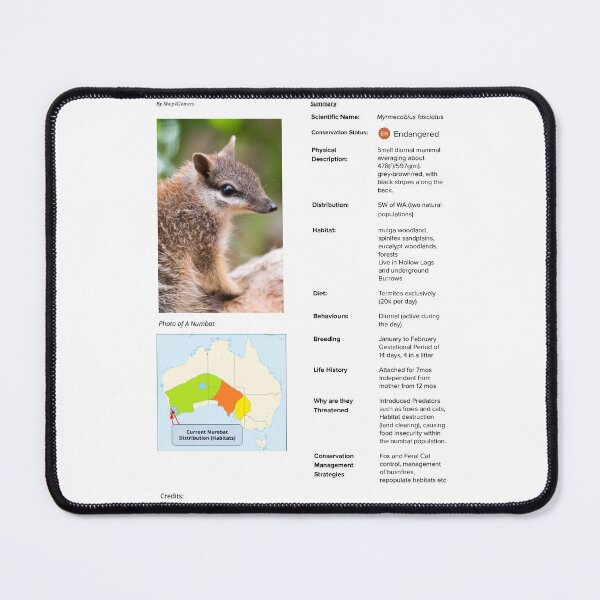 Item preview, Animal Facts: The Numbat designed and sold by Shop4Gamers.