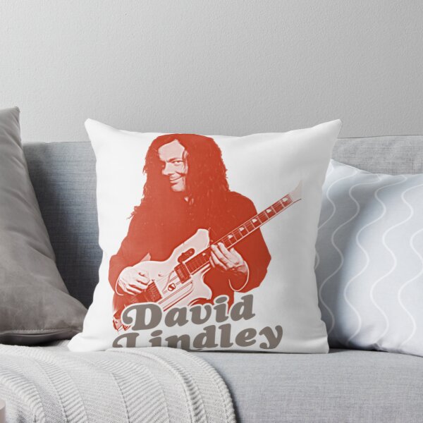 Item preview, David Lindley Rock Guitarist FanArt designed and sold by SilviaLeitner.