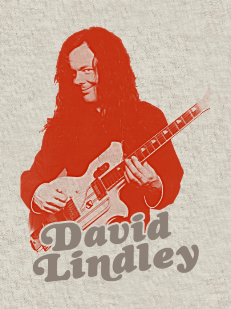 David Lindley Tシャツ Rare David Lindley Singer Heavy Cotton Full Size Unisex