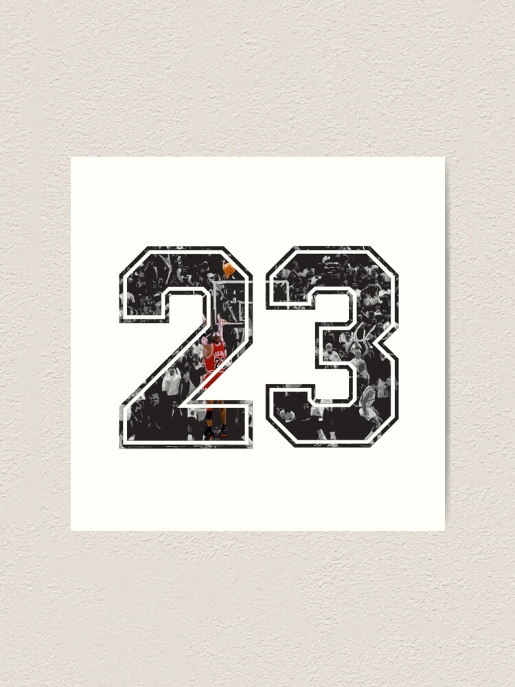 23 jordan