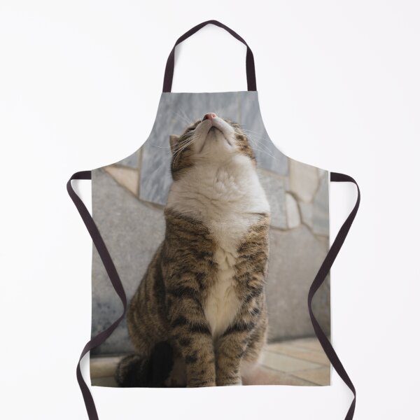 Item preview, Snooty cat with fluffy fur designed and sold by xP42.