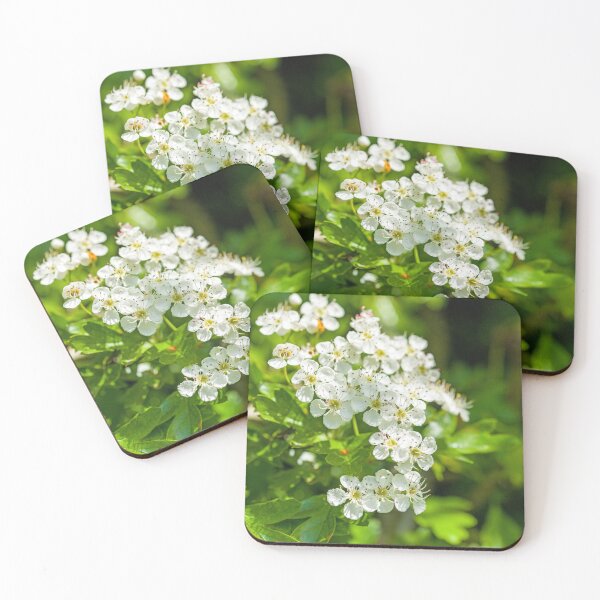 Item preview, Hawthorn Blossom in a local Woodland in May  designed and sold by Cameranick.