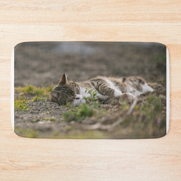 Item preview, Tabby cat enjoys the sun relaxing in the garden in the evening 2 designed and sold by xP42.