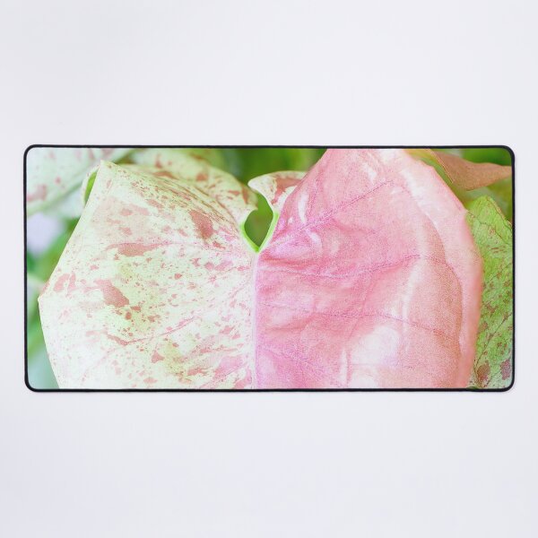 Item preview, Unique and organic photo of a Syngonium Milk Confetti designed and sold by AvonPerception.