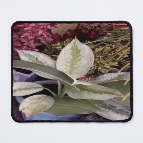 Item preview, Mini Garden 10 designed and sold by EiramsArtStuffs.
