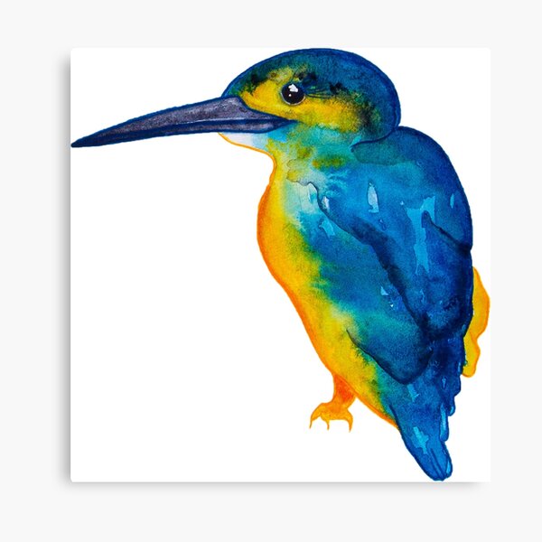 Colourful Kingfisher Painting Canvas Print