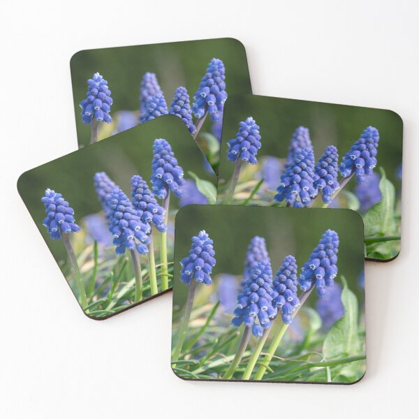 Item preview, Grape hyacinth in the garden designed and sold by xP42.