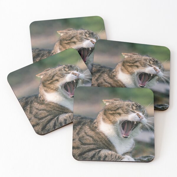 Item preview, Tabby yawns - shows teeth 2 designed and sold by xP42.