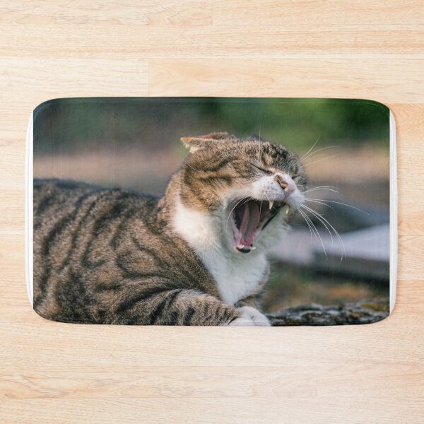 Item preview, Tabby yawns - shows teeth 2 designed and sold by xP42.