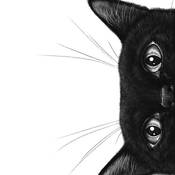 Artwork thumbnail, Black cat 02 by Valeriya Korenkova Kodamorkovkart
