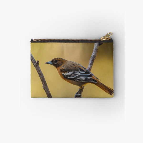 Artikelvorschau, Hinterhof Oriole entworfen und verkauft von AgapeMn.