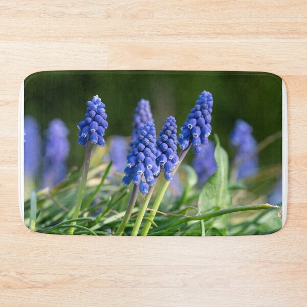 Item preview, Grape hyacinth in the garden designed and sold by xP42.