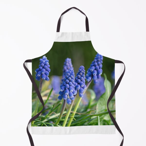 Item preview, Grape hyacinth in the garden designed and sold by xP42.