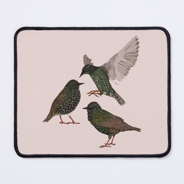 Item preview, Starlings designed and sold by Amy Hadden.