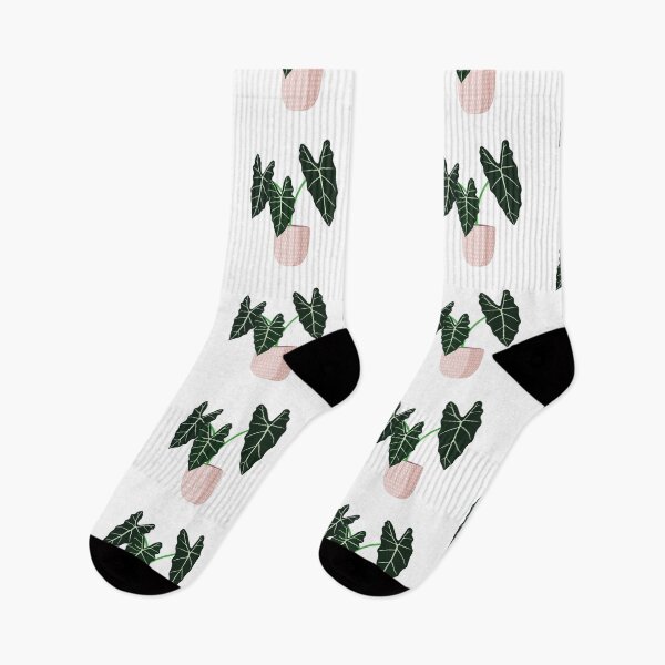 Item preview, Alocasia Frydek Potted Plant designed and sold by zykydesigns.