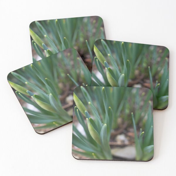 Item preview, Narcissus buds/leaves designed and sold by xP42.