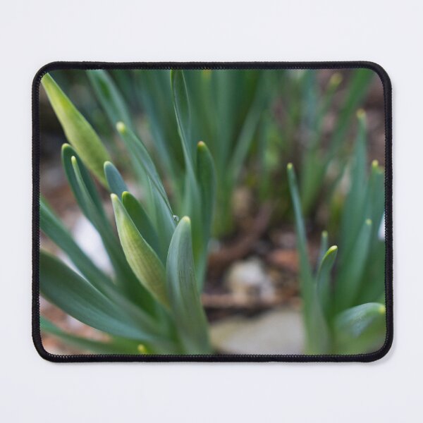 Item preview, Narcissus buds/leaves designed and sold by xP42.