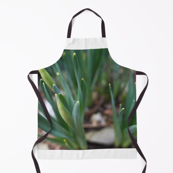Item preview, Narcissus buds/leaves designed and sold by xP42.
