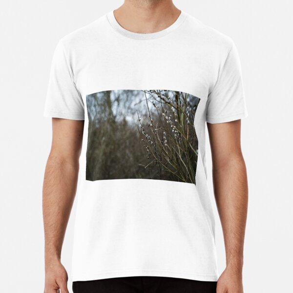 Pussy willow in spring Premium T-Shirt