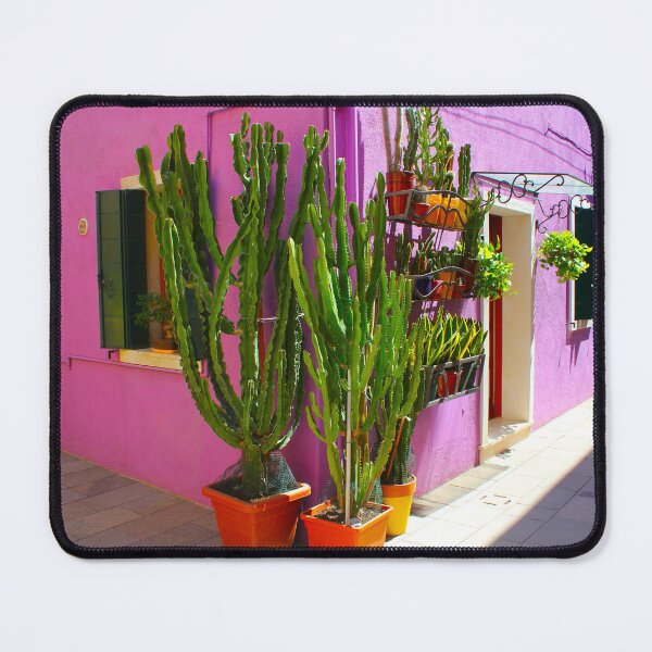 Item preview, cactus de Burano designed and sold by AHELENE.