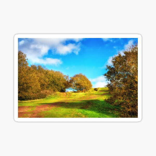 Clent Hills Summertime Sticker