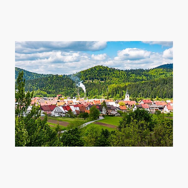 Small Village in Forest Photographic Print