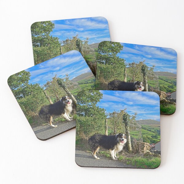 Item preview, Laddie's Sunday Stroll.  designed and sold by Michael Haslam.