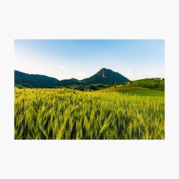 Green Paradise Photographic Print