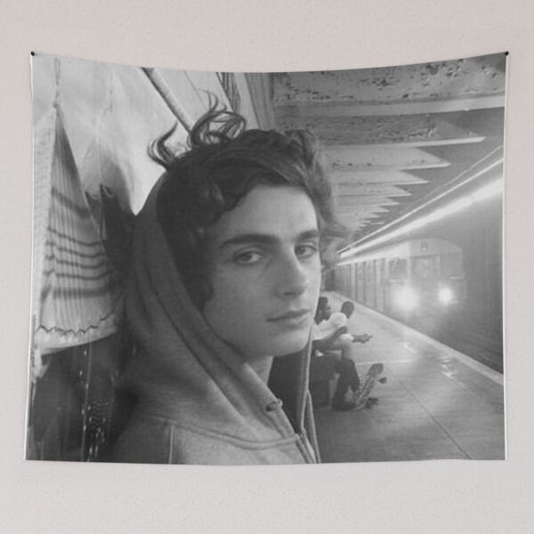 Aperçu de l'œuvre Timothée Chalamet Esthétique créée et vendue par elvertnekne.