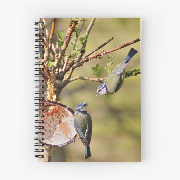 Item preview, Blue Tits designed and sold by Vicki Spindler (VHS Photography).